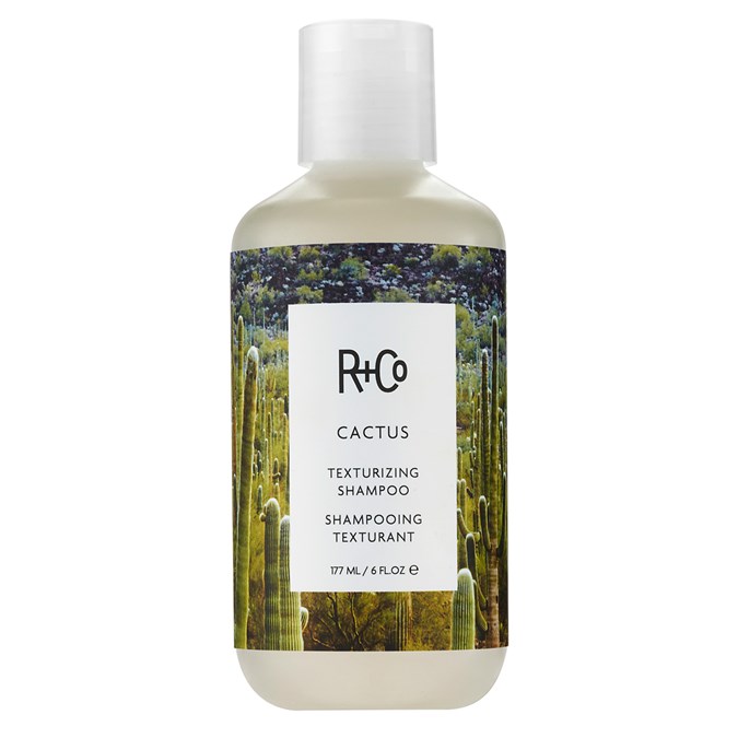 R+Co Cactus Texturizing Shampoo