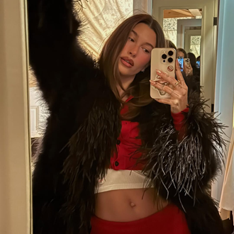/media/64446/how-to-get-hailey-bieber-hair-colour-s.png
